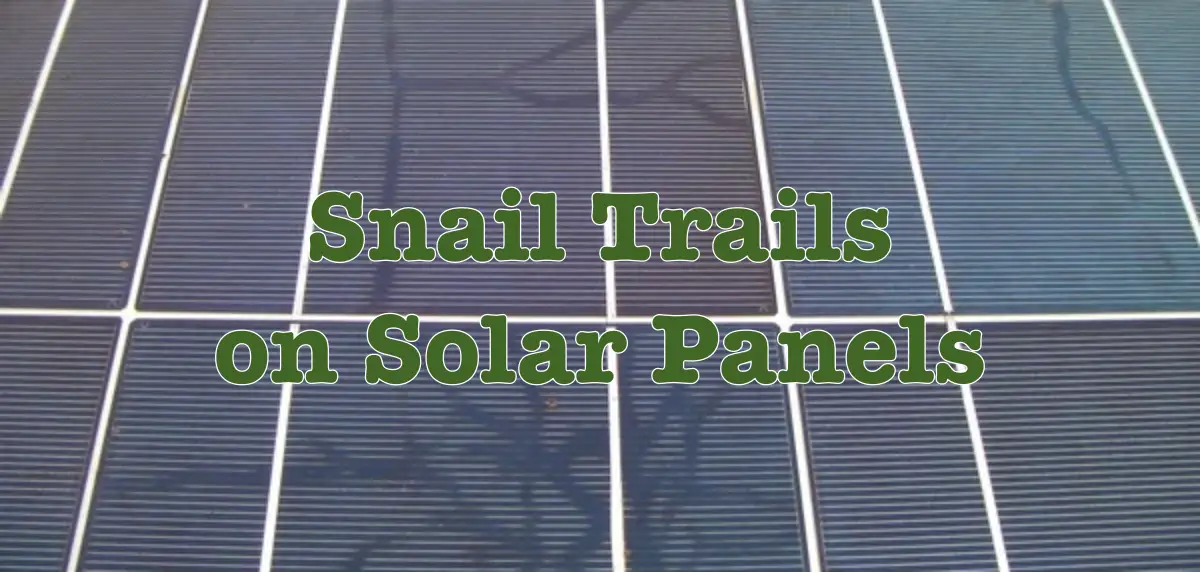 Snail Trail on Solar Panels