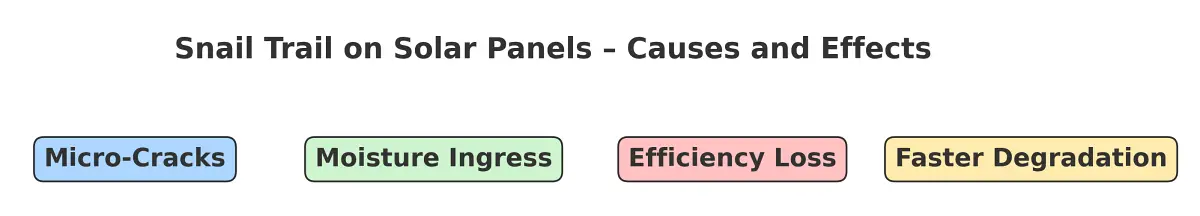 Snail Trail on Solar Panels